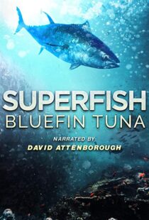 دانلود مستند Superfish Bluefin Tuna 2012101607-1923534837