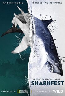 دانلود مستند Man vs. Shark 2019104475-1570072271