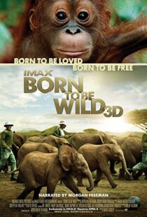 دانلود مستند Born to Be Wild 2011110503-1010091190