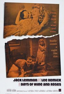 دانلود فیلم Days of Wine and Roses 1962112924-886848328