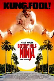 دانلود فیلم Beverly Hills Ninja 1997111541-417781893