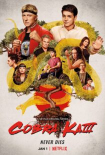 دانلود سریال Cobra Kai78550-936982488