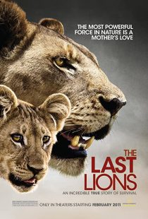 دانلود مستند The Last Lions 2011195626-984704494