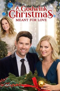 دانلود فیلم A Godwink Christmas: Meant for Love 201931842-551137794
