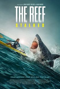 دانلود فیلم The Reef: Stalked 2022234702-1962906931
