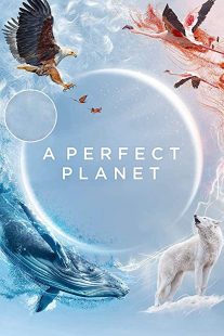 دانلود مستند A Perfect Planet231098-1134062494