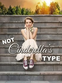 دانلود فیلم Not Cinderella’s Type 2018254350-62919521
