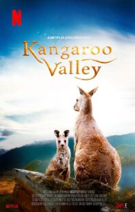 دانلود فیلم Kangaroo Valley 2022322977-2140185907