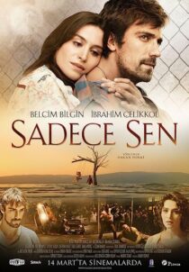 دانلود فیلم Only You 2014369345-105994545