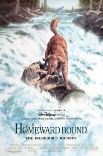 دانلود فیلم Homeward Bound: The Incredible Journey 1993371118-344221672
