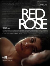 دانلود فیلم Red Rose 2014373098-926101628
