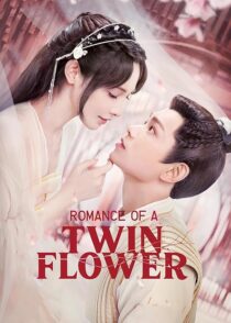 دانلود سریال Romance of a Twin Flower379211-415620518