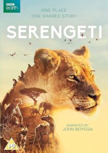 دانلود سریال Serengeti378761-670900569
