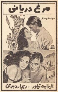 دانلود فیلم The Sandpiper 1965381611-1288921080