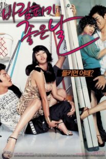 دانلود فیلم کره‌ای A Good Day to Have an Affair 2007384531-841022570