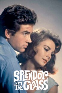 دانلود فیلم Splendor in the Grass 1961382554-824833146
