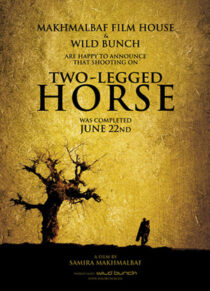دانلود فیلم Two-Legged Horse 2008386427-608893681