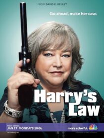 دانلود سریال Harry’s Law393952-1019803678