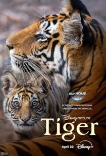 دانلود مستند Tiger 2024396409-923489833