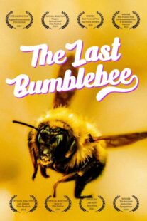 دانلود مستند The Last Bumblebee 2024399140-953762278