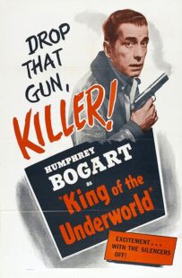 دانلود فیلم King of the Underworld 1939399475-1912740208