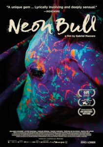 دانلود فیلم Neon Bull 2015396774-675956949