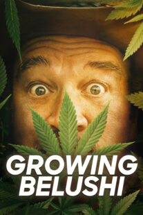 دانلود سریال Growing Belushi400424-203243941