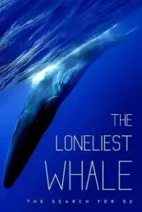 دانلود فیلم The Loneliest Whale: The Search for 52 2021403098-1689924795