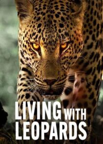 دانلود مستند Living with Leopards 2024400477-248488669