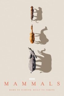 دانلود سریال Mammals404460-170402422