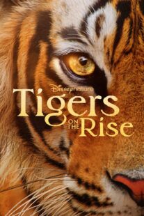 دانلود مستند Tigers on the Rise 2024407068-55879418