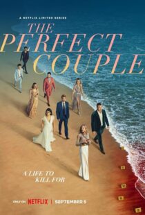 دانلود سریال The Perfect Couple409138-580847305