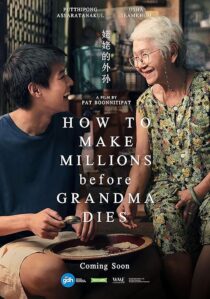 دانلود فیلم How to Make Millions Before Grandma Dies 2024409793-1251869528