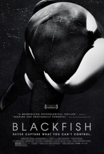 دانلود فیلم Blackfish 2013412328-795307365