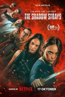 دانلود فیلم The Shadow Strays 2024412265-1276498296