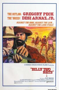 دانلود فیلم Billy Two Hats 1974411057-1965888157