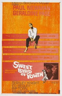 دانلود فیلم Sweet Bird of Youth 1962415738-434068206