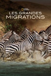 دانلود مستند Great Migrations417146-1070594035