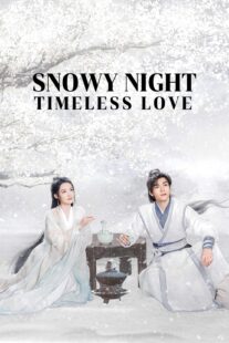 دانلود سریال Snowy Night Timeless Love417168-721550476