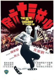 دانلود فیلم The 36th Chamber of Shaolin 1978418237-1411708733