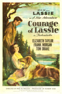 دانلود فیلم Courage of Lassie 1946417427-1925122501