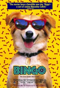 دانلود فیلم Bingo 1991417459-299761946