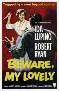 دانلود فیلم Beware, My Lovely 1952420627-1994778624