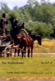دانلود فیلم The Willow Tree 1984418953-25319756