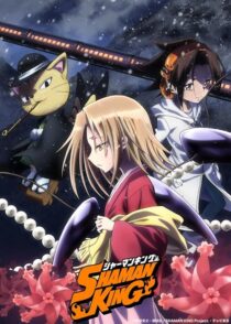 دانلود انیمه Shaman King422246-414834246