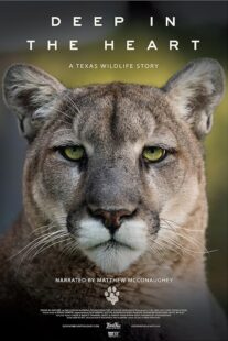 دانلود مستند Deep in the Heart: A Texas Wildlife Story 2022421545-1396971688