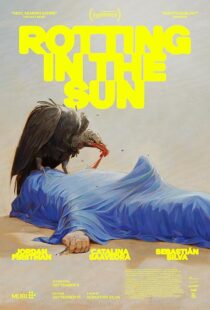 دانلود فیلم Rotting in the Sun 2023418816-1349616491