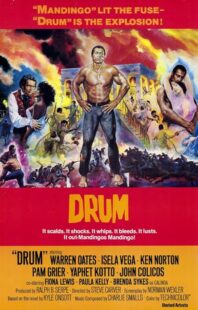 دانلود فیلم Drum 1976423508-2009317326