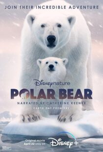 دانلود مستند Polar Bear 2022422974-1669036834