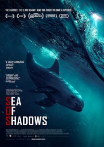 دانلود فیلم Sea of Shadows 2019427147-613931896
